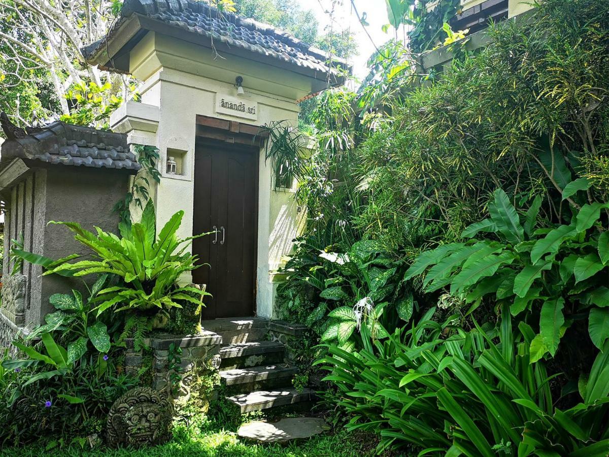 Villa With Private Pool At Villa Nirvana Ubud Zewnętrze zdjęcie